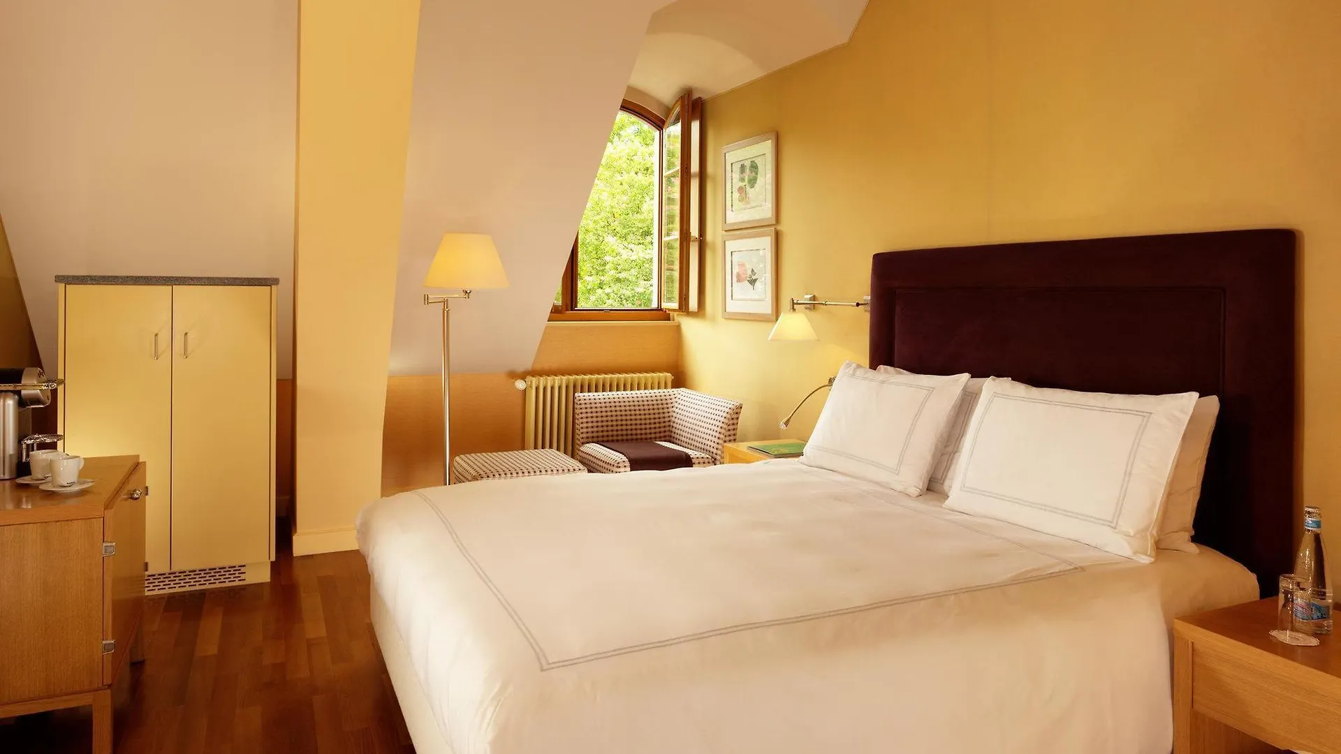Hotel Residence Parc Des Eaux Vives Geneva
